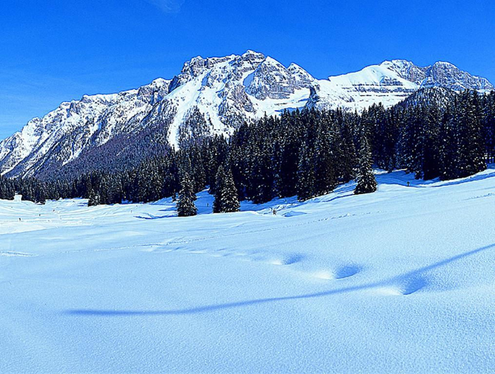 Ferienwohnung Campiglio Bilocale Monte Spinale Madonna Zimmer foto